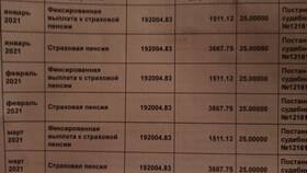 Что такое страховая пенсия инвалида в Техпорт
