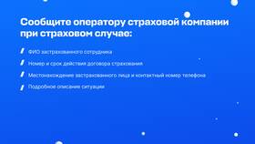 Что такое страховой случай в страховании в Техпорт