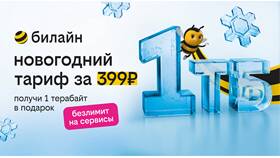 Как добавить трафик на Билайн в Техпорт