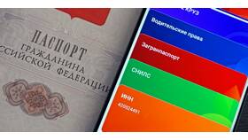 Как найти ИНН физического лица по СНИЛС в Техпорт