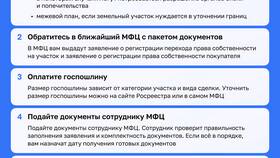 Как оформить документы в МФЦ в Техпорт