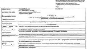 Как подать заявление на справку о несудимости через Госуслуги в Техпорт