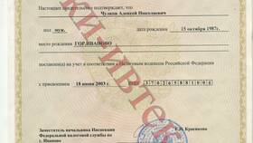 Как подтвердить ИНН в Техпорт