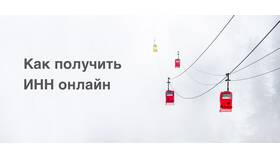 Как получить ИНН онлайн в Техпорт