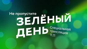 Как получить СберБольшое Спасибо в Техпорт