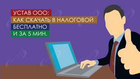 Как получить устав ООО в налоговой в Техпорт