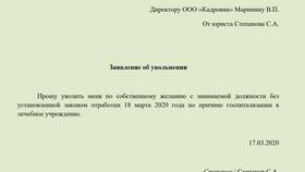 Как правильно подать заявление в Техпорт