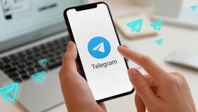 Как привязать Telegram к номеру телефона в Техпорт