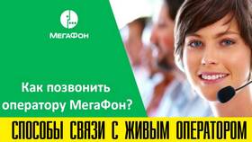 Как связаться с оператором Мегафон в Техпорт