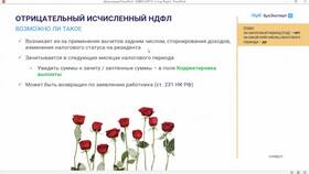 Как удержать излишне выплаченный НДФЛ в Техпорт