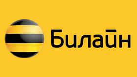 Как узнать номер личного кабинета Билайн в Техпорт