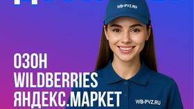 Как заказать доставку WB курьером в Техпорт