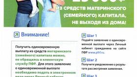 Как заказать справку пенсионеру на Госуслугах в Техпорт