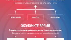 Как законно уменьшить или отменить налоги в Техпорт