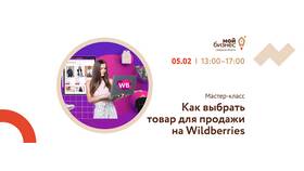 Как зарабатывать в интернете с Wildberries в Техпорт