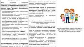 На что предоставляются субсидии: виды государственной поддержки в Техпорт