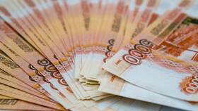 Направлена выплата от СФР - что это значит в Техпорт