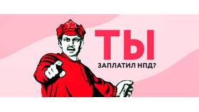 Не успел оплатить налог самозанятого: что делать в Техпорт