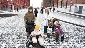 Выплаты одиноким матерям в 2025 году в Техпорт