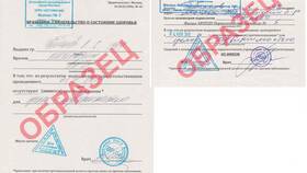 Зачем нужна справка из ПНД в Техпорт